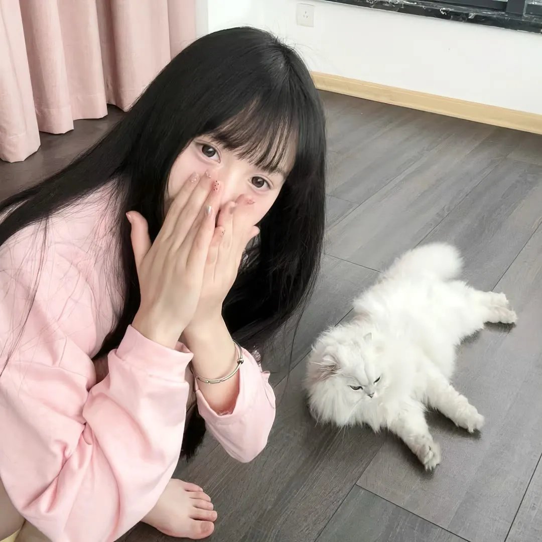 小太郎一个人生活